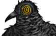 BirdUp