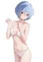 __ayanami_rei_neon_genesis_evangelion_drawn_by_ke_ai_qu_qu__f2f8992d03a3393bc759a0cd34d2ab67