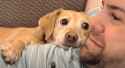 doggo