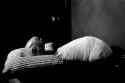 eraserhead baby