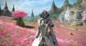 ffxiv_dx11 2025-06-07 05-53-45