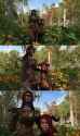 enb