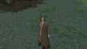 2025-06-02 12-03-50 ffxiv_dx11