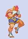adon-intro1