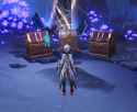 chests