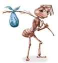 homeless-ant-ant