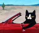 gatodrive