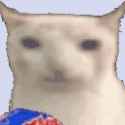 cat-funny