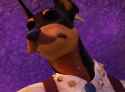duke