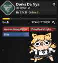 DDN