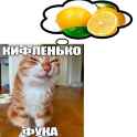 1745276209621