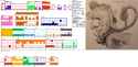 Touhou 1CC chart