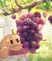 __kirby_waddle_dee_gooey_chef_kawasaki_needlous_and_1_more_kirby_drawn_by_suyasuyabi__sample-c421e7f9a354f31426e9ee04fab4dde8