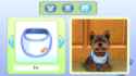 DogDiaper