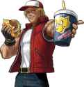 American Terry