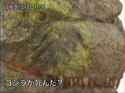 1720266694907054