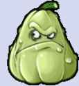 200px-PVZ_Squash_unlook_left