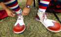 Clown Shoes