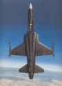 F-20 Tigershark climbing