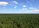 FlatPine