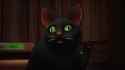 retard cat
