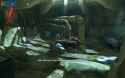 Dishonored | Linux Mint 22.1 | 2025-06-28 01-23-13-127556801
