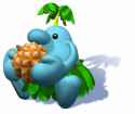 pianta
