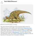 Parasaur looking fucks