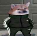 tracksuit