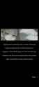 Screenshot_20221112-160212