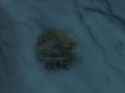 Halo3_116511087_Medium
