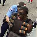 Soldier_Arrests_Demofloyd