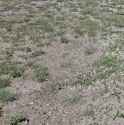 IMG_20250630_140155_913