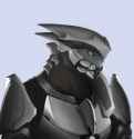 Vien bust transparent