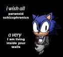 faker wishes schizos a very
