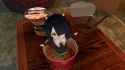 VRChat_2025-07-02_13-54-48.317_1920x1080