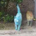 why_are_you_blue_by_smolkyle1_djoaiul