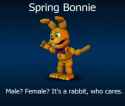 Spring Bonnie fnaf world
