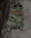 cold sorrow 