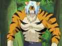 Mizuki&#039;s_Tiger_Transformation