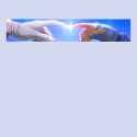 cut699_touch_fingertip