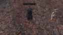 screenshot_1196