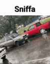 sniff car