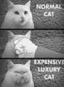 cat mod