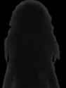 1614700779513