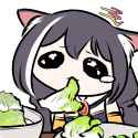 kot lettuce
