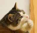 thinking