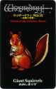 giant_squirrels