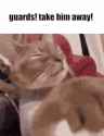 take him away