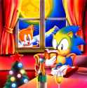sonic_reading